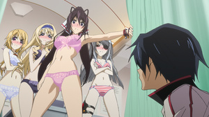 IS: Infinite Stratos 2